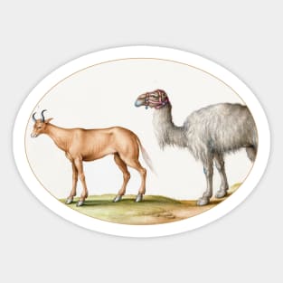 An Ox and a Camel (1575–1580) Sticker